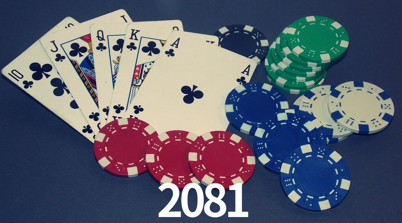 Game Statistics 2081